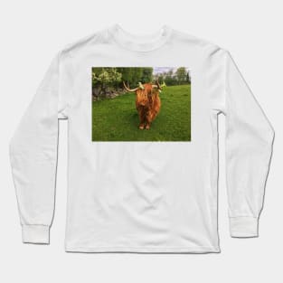 Scottish Highland Cattle Cow with flowers 2401 Long Sleeve T-Shirt